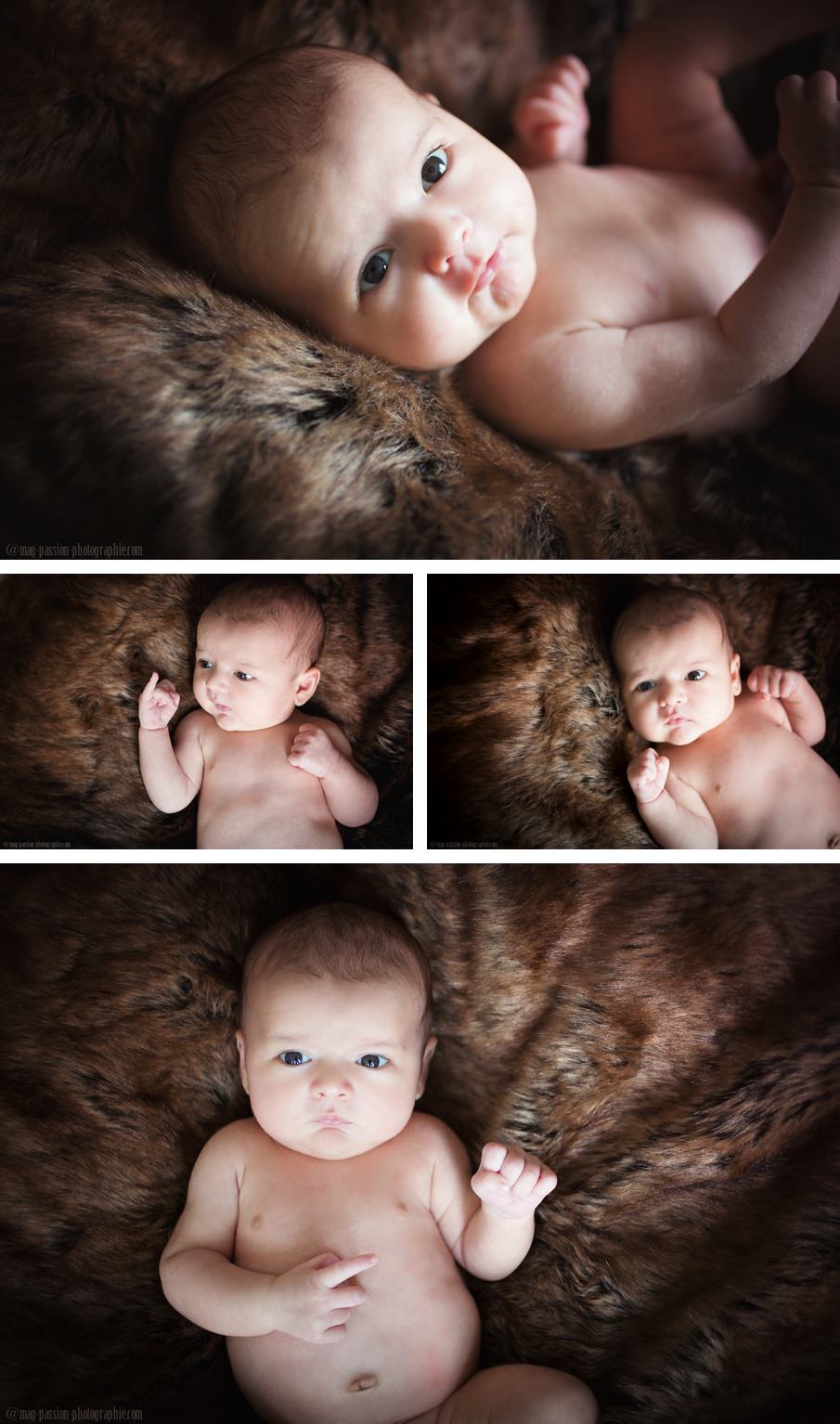 PHOTOGRAPHE NOUVEAU NE | STUDIO | LOIRE & HAUTE-LOIRE PHOTOGRAPHE NOUVEAU NE | STUDIO | LOIRE & HAUTE-LOIRE